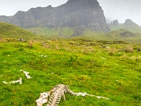 Isle of Skye, Old Man of Storr